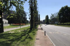 IMG_8893