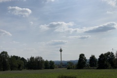 IMG_4422
