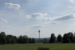 IMG_4423